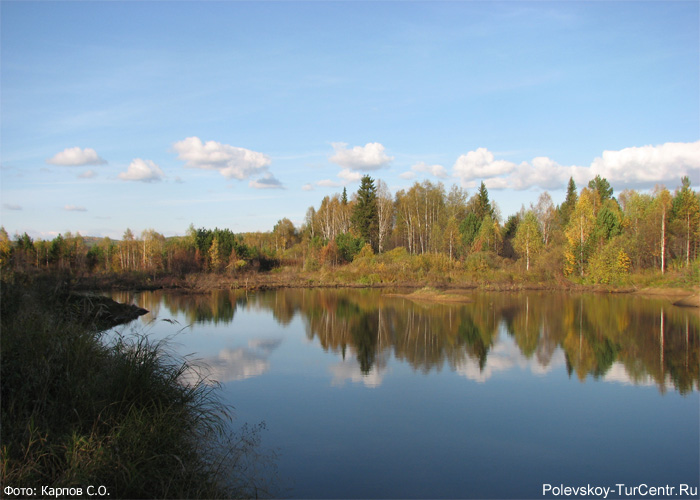 Дальний пруд в окрестностях посёлка Большая Лавровка. Фото Карпова С.О., сентябрь 2012 г.