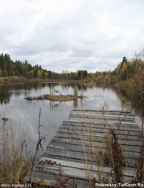 Дальний пруд в окрестностях посёлка Большая Лавровка. Фото Карпова С.О., сентябрь 2012 г.