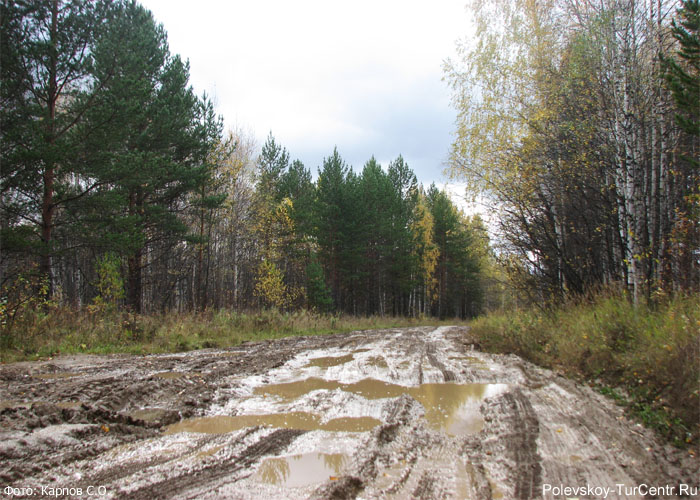 Плохая дорога в посёлок Большая Лавровка. Фото Карпова С.О., сентябрь 2012 г.
