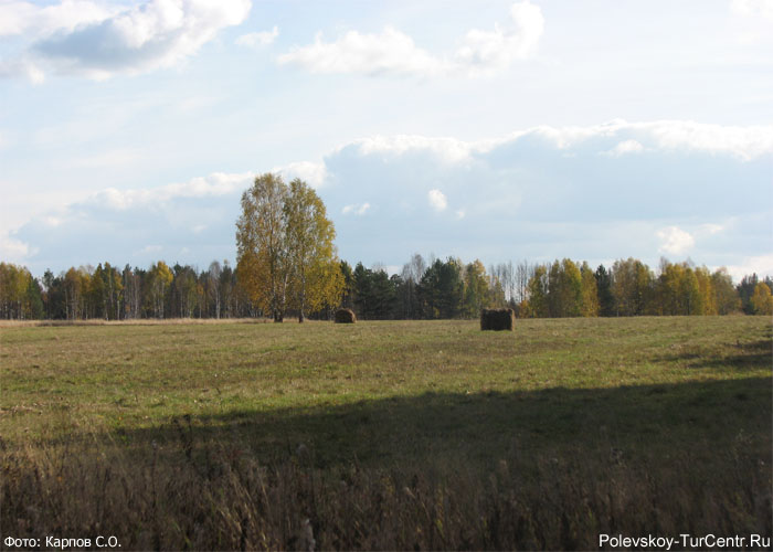 Сенокосные поля по дороге в посёлок Большая Лавровка. Фото Карпова С.О., сентябрь 2012 г.