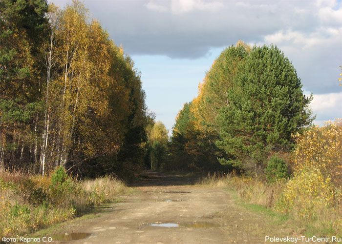 Плохая дорога в посёлок Большая Лавровка. Фото Карпова С.О., сентябрь 2012 г.