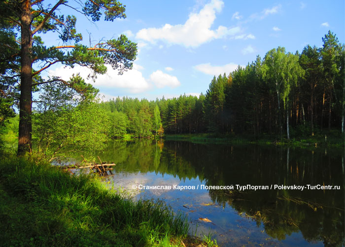 Поскакушинский пруд в посёлке Кладовка. Фото Карпова С.О., июль 2016 г.