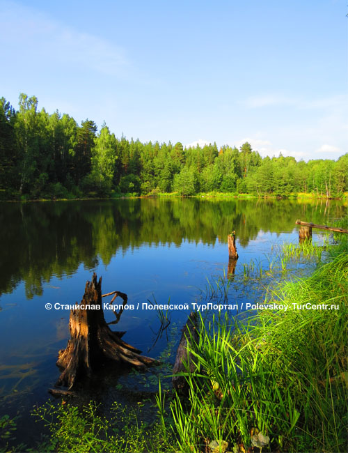 Поскакушинский пруд в посёлке Кладовка. Фото Карпова С.О., июль 2016 г.