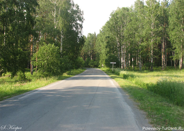 На выезде из деревни Кладовка. Фото Карпова С.О., июнь 2012 г.
