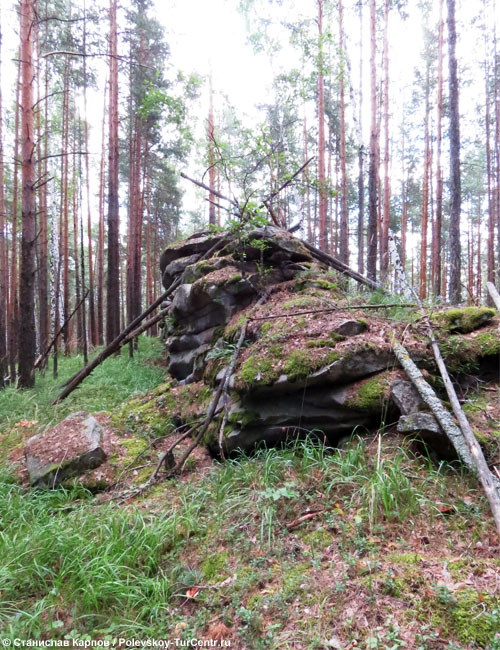 Гора Попова. Фото Карпова С.О., 2015 г.