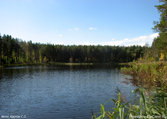 Софроновский пруд в окрестностях села Мраморское. Фото Карпова С.О., сентябрь 2012 г.