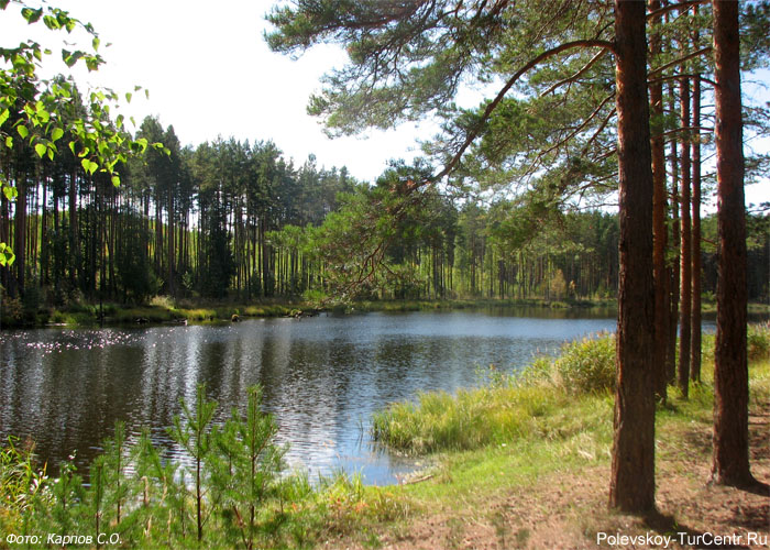 Софроновский пруд в окрестностях села Мраморское. Фото Карпова С.О., сентябрь 2012 г.