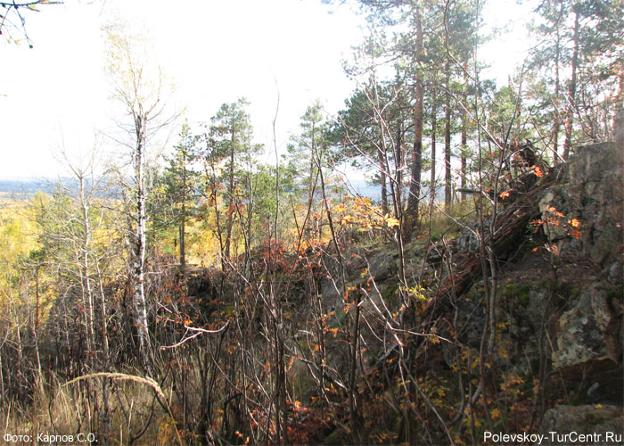 Гора Берёзовая в окрестностях южной части Полевского. Фото Карпова С.О., сентябрь 2012 г.