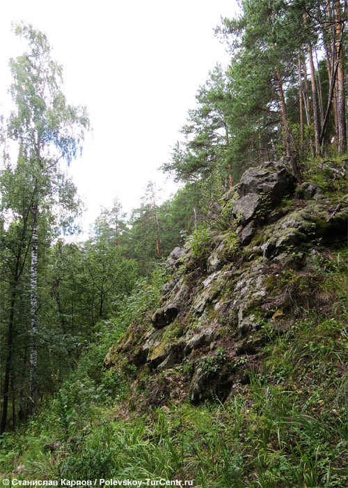 Гора Крутик в окрестностях южной части города Полевского. Фото Карпова С.О., 2014 г.