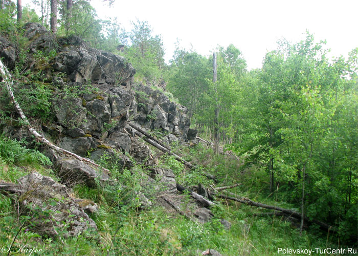 Гора Осиновая в окрестностях южной части города Полевского. Фото Карпова С.О., май 2012 г.
