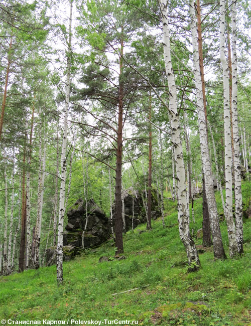 Гора Острая в окрестностях южной части Полевского. Фото Карпова С.О., 2014 г.