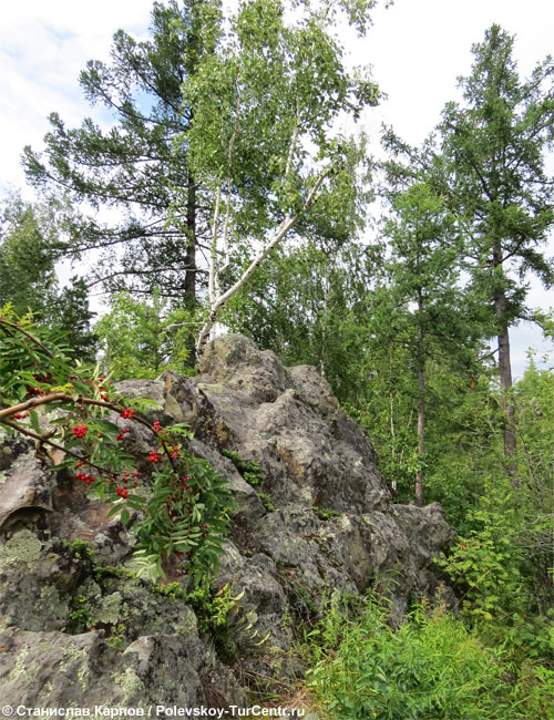 Гора Острая в окрестностях южной части Полевского. Фото Карпова С.О., 2014 г.