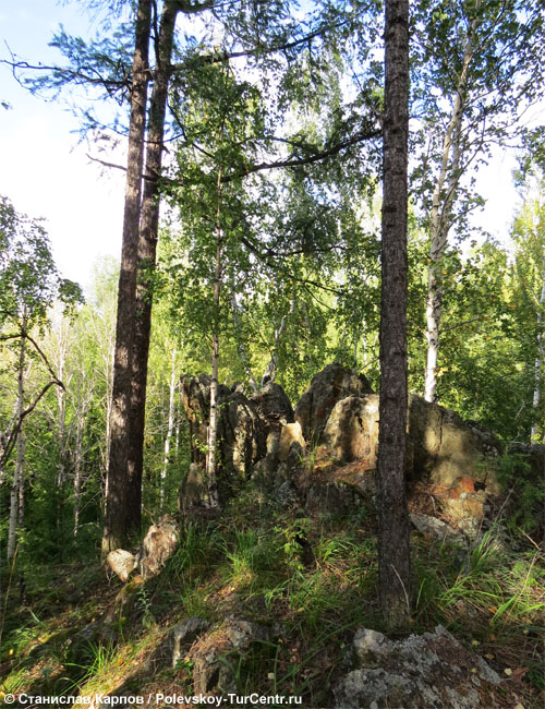 Гора Глубоченская в окрестностях южной части города Полевского. Фото Карпова С.О., 2014 г.