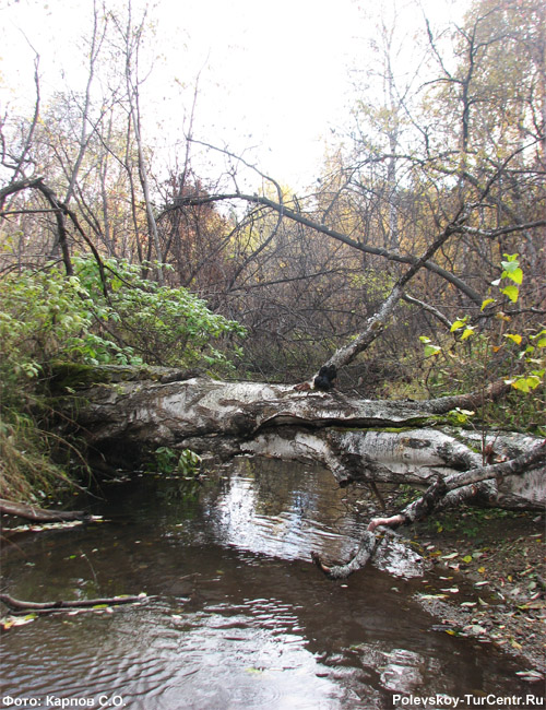 Река Полевая в окрестностях южной части города Полевского. Фото Карпова С.О., сентябрь 2013 г.