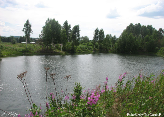 Журавлиное озерко в окрестностях южной части города Полевского. Фото Карпова С.О., июнь 2012 г.