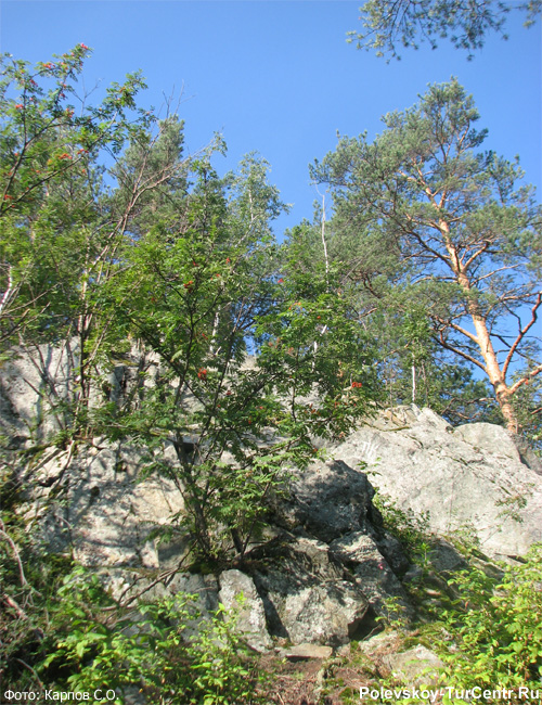 Гора Урал в окрестностях села Полдневая. Фото Карпов С.О., август, 2013 г.
