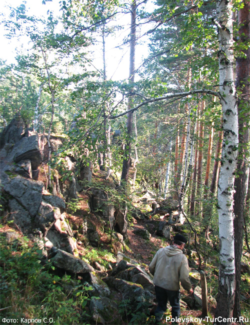 Гора Урал в окрестностях села Полдневая. Фото Карпов С.О., август, 2013 г.