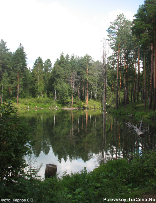 Второе озерко в окрестностях села Полдневая. Фото Карпов С.О., август, 2013 г.