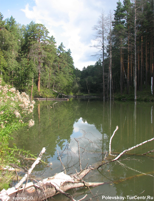 Второе озерко в окрестностях села Полдневая. Фото Карпов С.О., август, 2013 г.
