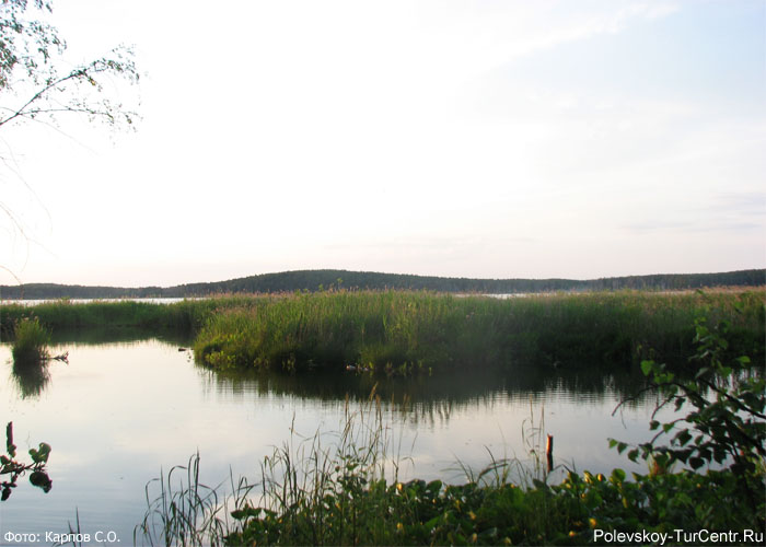 Сысертское озеро в окрестностях села Полдневая. Фото Карпов С.О., июнь, 2013 г.
