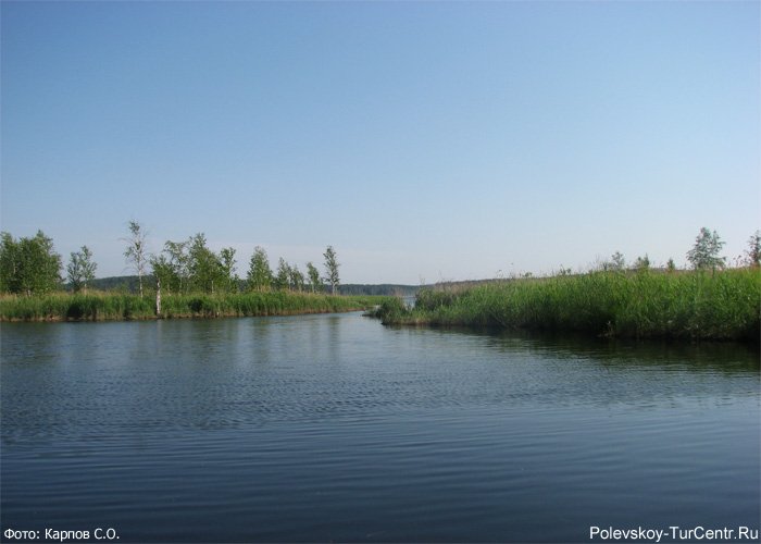 Плавающие острова на Сысертском озере в окрестностях села Полдневая. Фото Карпов С.О., июнь, 2013 г.