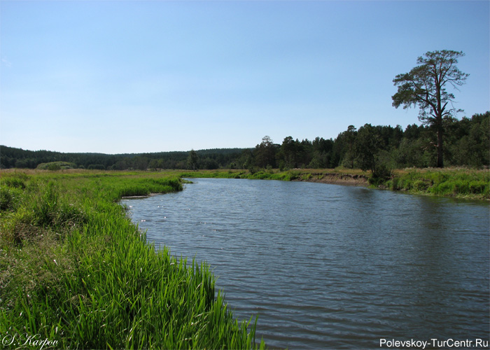 Река Чусовая в деревне Раскуиха. Фото Карпова С.О., август 2012 г.