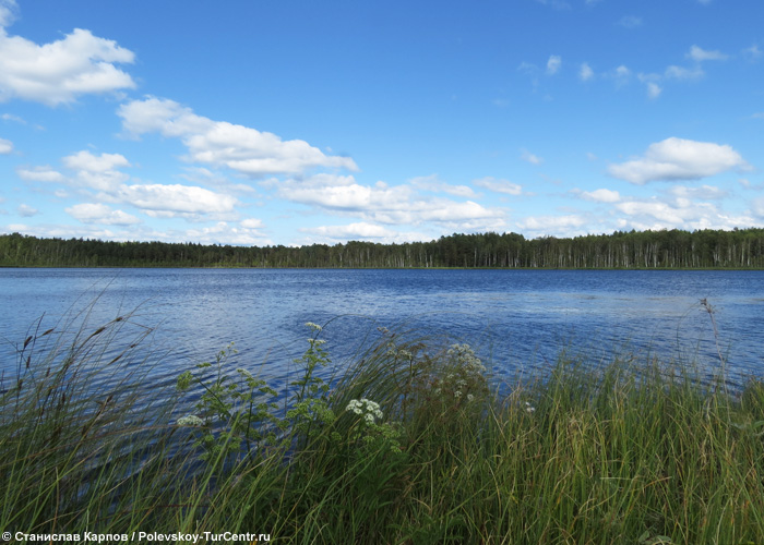 Озеро Малое Щучье. Фото Карпова С.О., 2015 г.