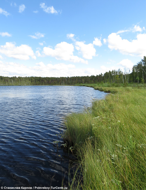 Озеро Малое Щучье. Фото Карпова С.О., 2015 г.