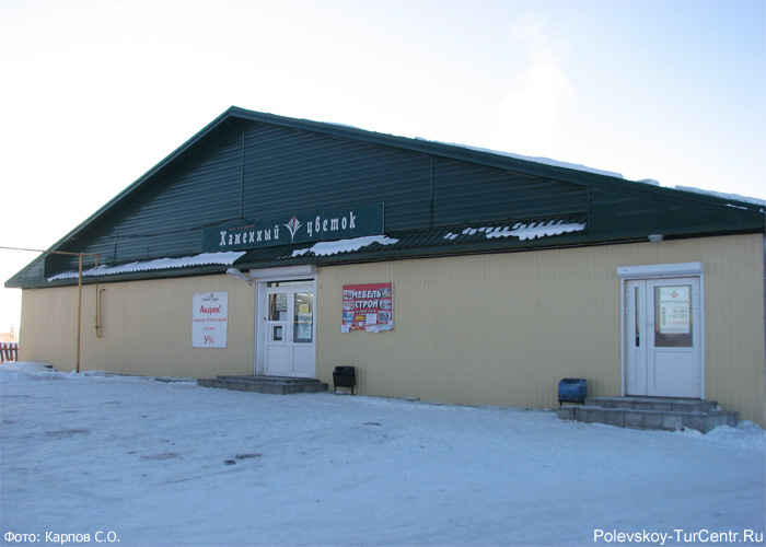 Магазин с аптекой в посёлке Станционный-Полевской. Фото Карпова С.О., декабрь 2012 г.