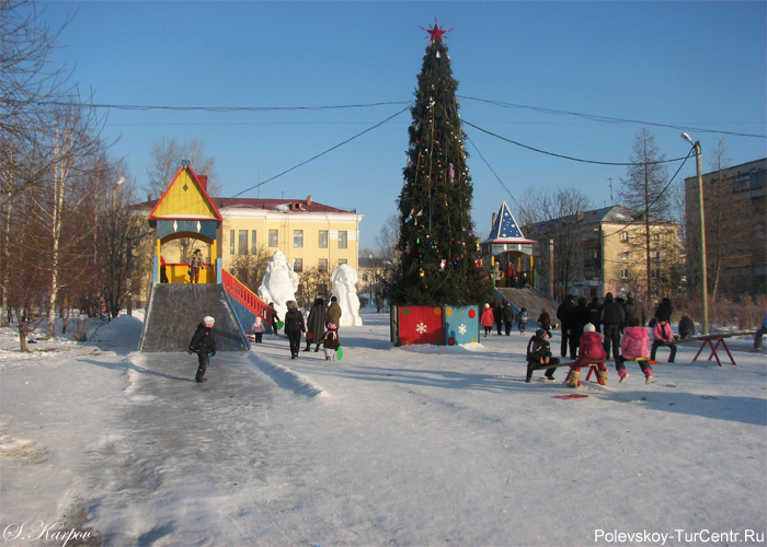 Новогодняя ёлка в сквере Пестерникова в южной части города Полевского. Фото Карпова С.О., январь 2012 г.