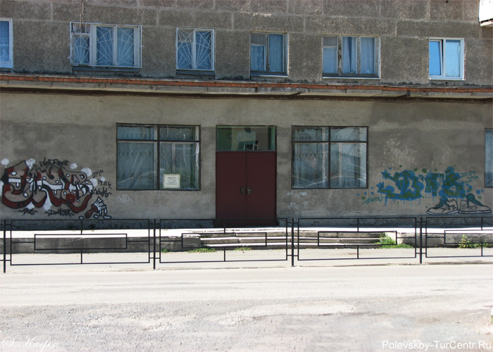 Городская библиотека в южной части города Полевского. Фото Карпова С.О., август 2012 г.