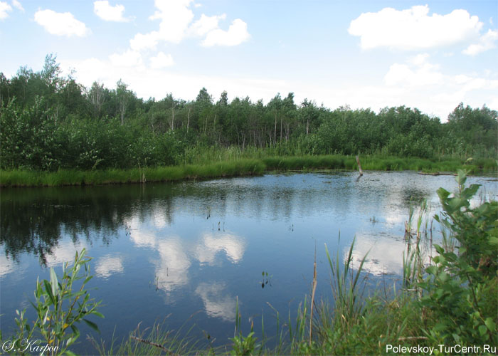 Гумёшевские озерки в южной части города Полевского. Фото Карпова С.О., июнь 2012 г.