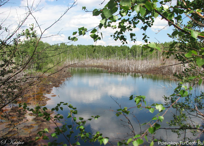 Гумёшевские озерки в южной части города Полевского. Фото Карпова С.О., июнь 2012 г.