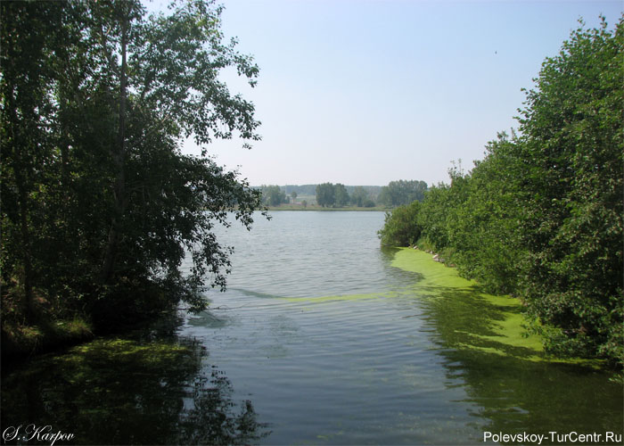 Криолитовый пруд в окрестности южной части города Полевского. Фото Карпова С.О., июнь 2012 г.