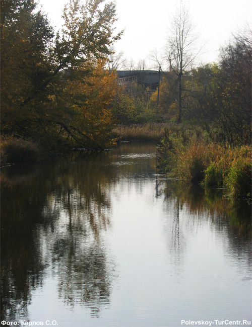 Речка Полдневая в южной части города Полевского. Фото Карпова С.О., октябрь 2011 г.