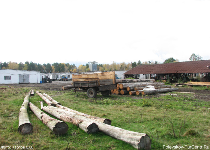 Ферма в посёлке Зелёный Лог. Фото Карпова С.О., сентябрь 2012 г.