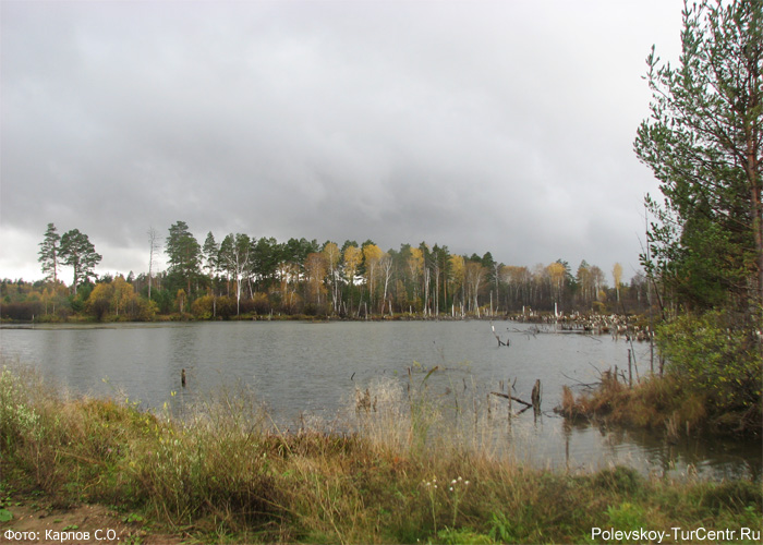 Воскресенское озеро в окрестностях посёлка Зелёный Лог. Фото Карпова С.О., сентябрь 2012 г.