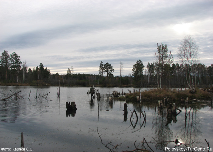 Воскресенское озеро в окрестностях посёлка Зелёный Лог. Фото Карпова С.О., октябрь 2012 г.