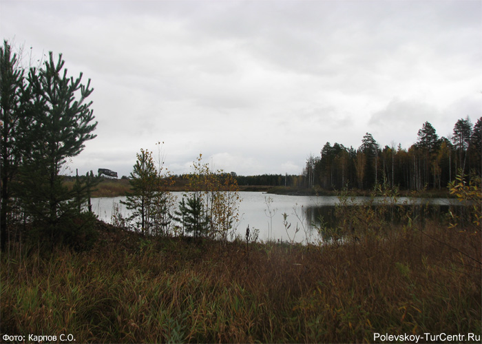 Пруд в окрестностях посёлка Зелёный Лог. Фото Карпова С.О., сентябрь 2012 г.
