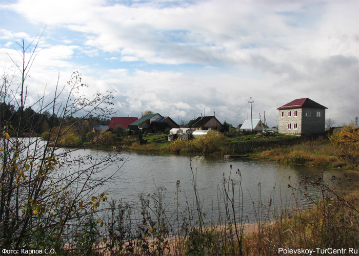 Зелёный пруд в посёлке Зелёный Лог. Фото Карпова С.О., сентябрь 2012 г.