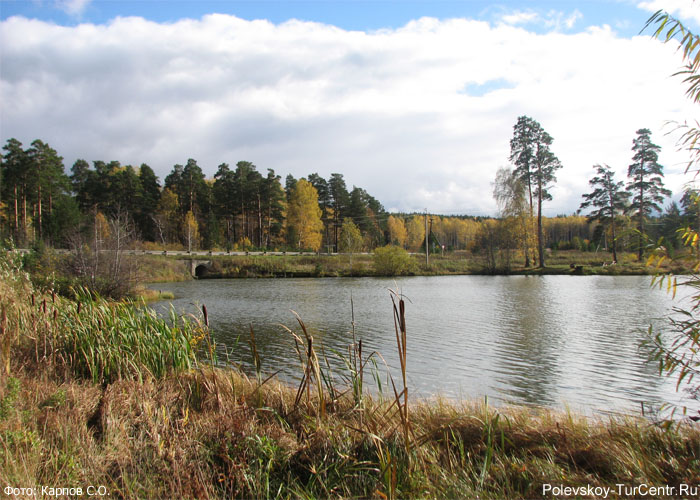 Зелёный пруд в посёлке Зелёный Лог. Фото Карпова С.О., сентябрь 2012 г.