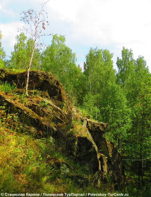 Гора Весёлая в окрестностях посёлка Зюзельский. Фото Карпова С.О., август 2016 г.