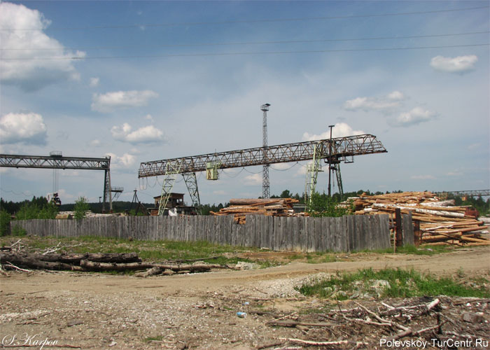 Деревообрабатывающий завод в посёлке Зюзельский. Фото Карпова С.О., июнь 2012 г.