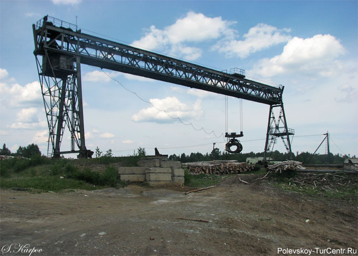 Деревообрабатывающий завод в посёлке Зюзельский. Фото Карпова С.О., июнь 2012 г.
