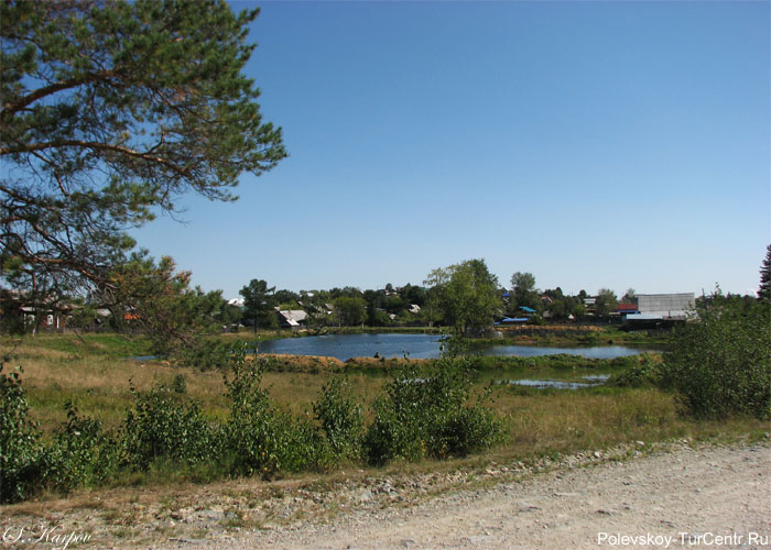 Минехановский пруд (Минеханка) в посёлке Зюзельский. Фото Карпова С.О., август 2012 г.
