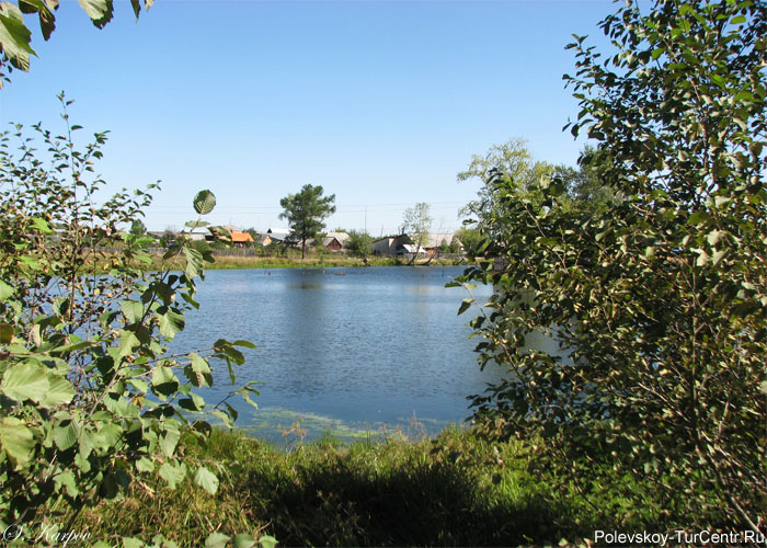 Минехановский пруд (Минеханка) в посёлке Зюзельский. Фото Карпова С.О., август 2012 г.