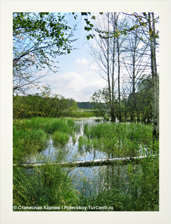 Озеро Базановское. Фото Карпова С.О.